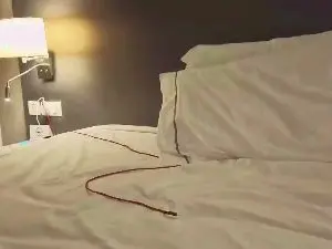Sensual_hot69  live sex cam