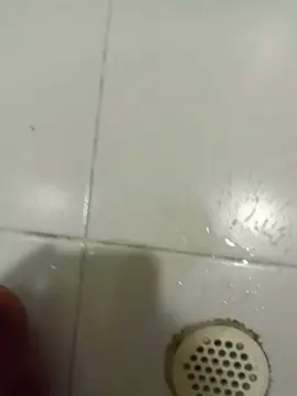 Fflorecita  live sex cam