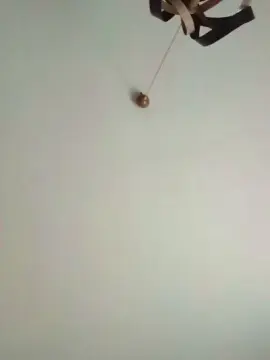 Calda5533  live sex cam