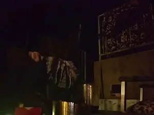 Bibalalalala  live sex cam
