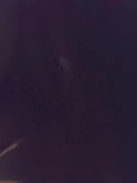 Buendia77  live sex cam