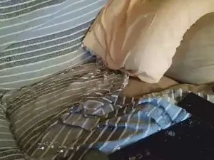 TettonaPelosa  live sex cam