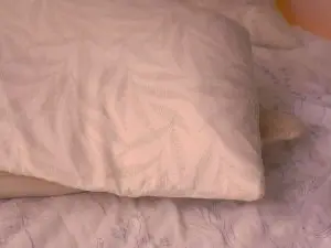 WiloneFoulk  live sex cam