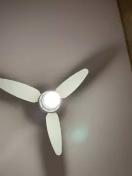 Haileybabybby  live sex cam