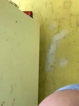 Michelly341  live sex cam