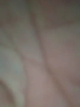 Safadinha_01  live sex cam