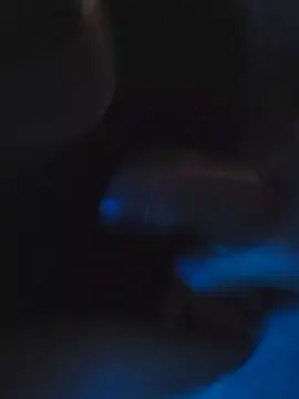 BodyTaste  live sex cam