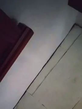 Ladypuppy  live sex cam
