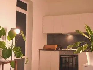 SilvanaHansel  live sex cam