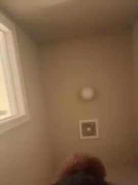 Lovelymodeling  live sex cam