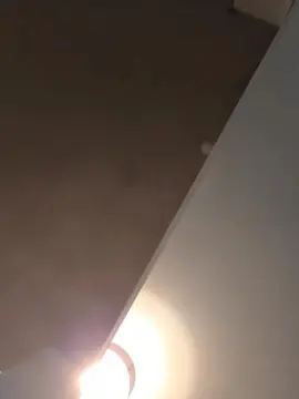 Charlotte08_hot  live sex cam