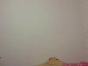 Kitycvt  live sex cam