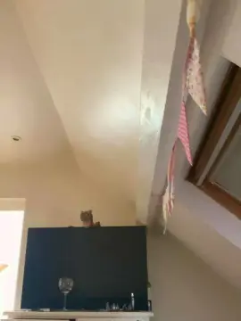 Bluskystar07  live sex cam