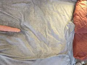 IMNOTSHYBABY  live sex cam