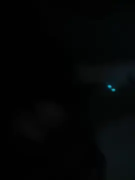 Leleeprettykity  live sex cam