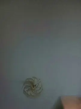 Luz600  live sex cam