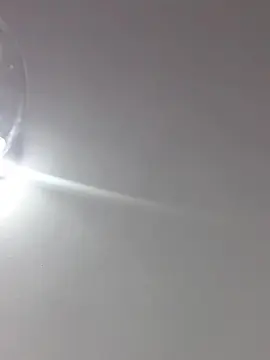 Misschampi  live sex cam