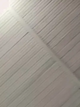 Misschampi  live sex cam