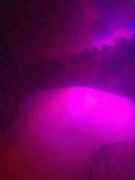 Fantasy4roll  live sex cam