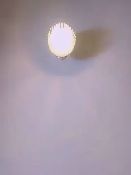 Gabryee  live sex cam