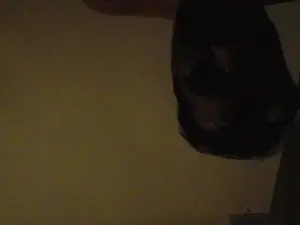 Ladyalex2  live sex cam