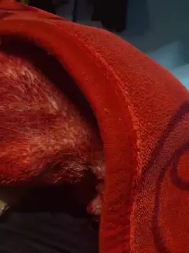 Babyhfdf  live sex cam