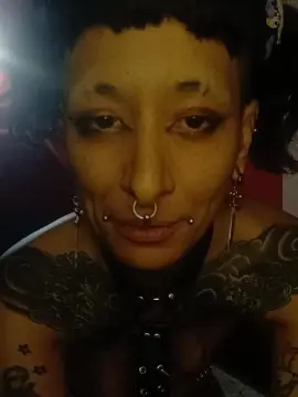 Gasty8  live sex cam