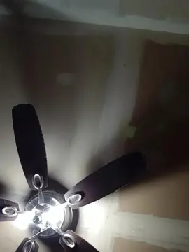 Prrkitty  live sex cam