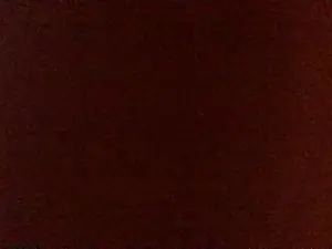 Javierapalacios  live sex cam