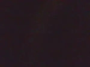 Javierapalacios  live sex cam