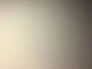 Javierapalacios  live sex cam