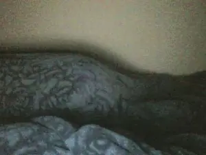 Fieryserafina  live sex cam