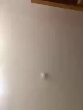 Oncinhabraba  live sex cam