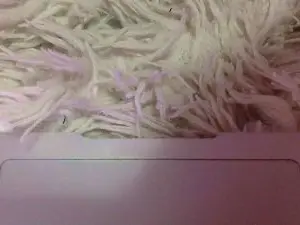 GatitaHorny69  live sex cam