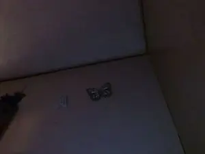 Vividvista  live sex cam