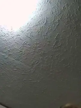 Vividvista  live sex cam