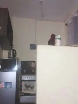 Dance254  live sex cam