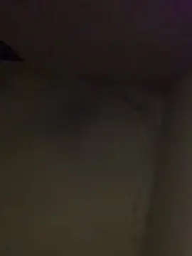 Pekadoraxx  live sex cam