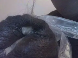 Xenia122  live sex cam