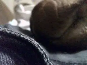 Xenia122  live sex cam