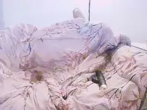 Doldpsy3  live sex cam