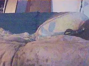 Doldpsy3  live sex cam