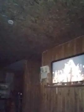 Estefii3  live sex cam