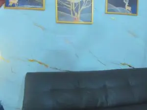 Little_nikoll  live sex cam