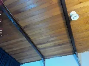 EmiliWilliams  live sex cam