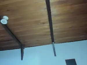 EmiliWilliams  live sex cam