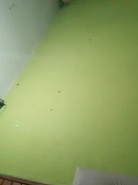 Infernapepa  live sex cam