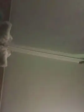 Maracuchasexi1  live sex cam