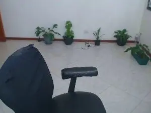 Charlottez1  live sex cam