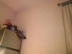 Tabbycat96  live sex cam